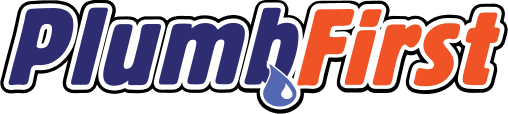 Professional Plumbers
