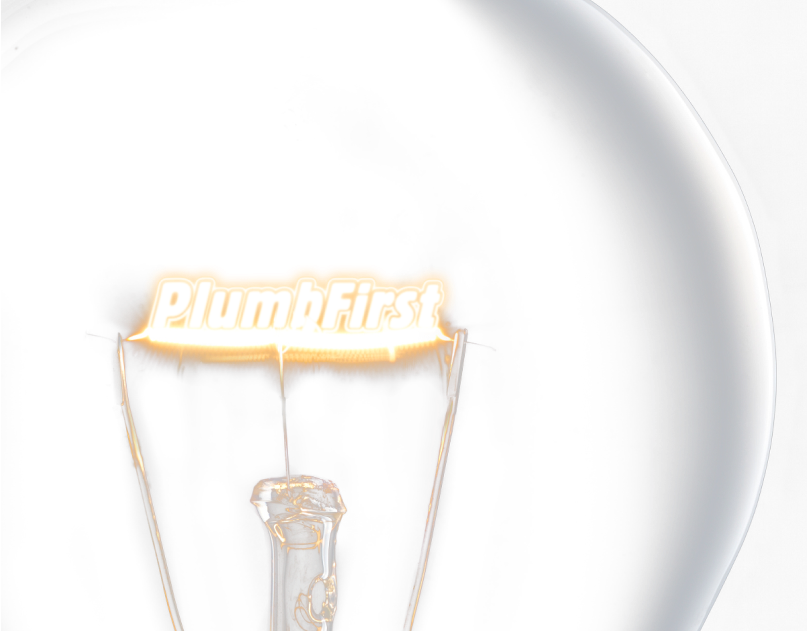 Professional Plumbers