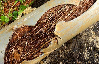 Professional Plumbers